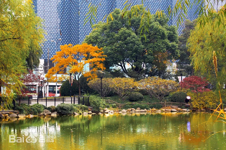 探秘上海延中绿地：城市中的自然宝藏
